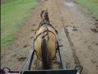 Estancia_La_Cinacina038