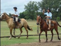 Estancia_La_Cinacina076