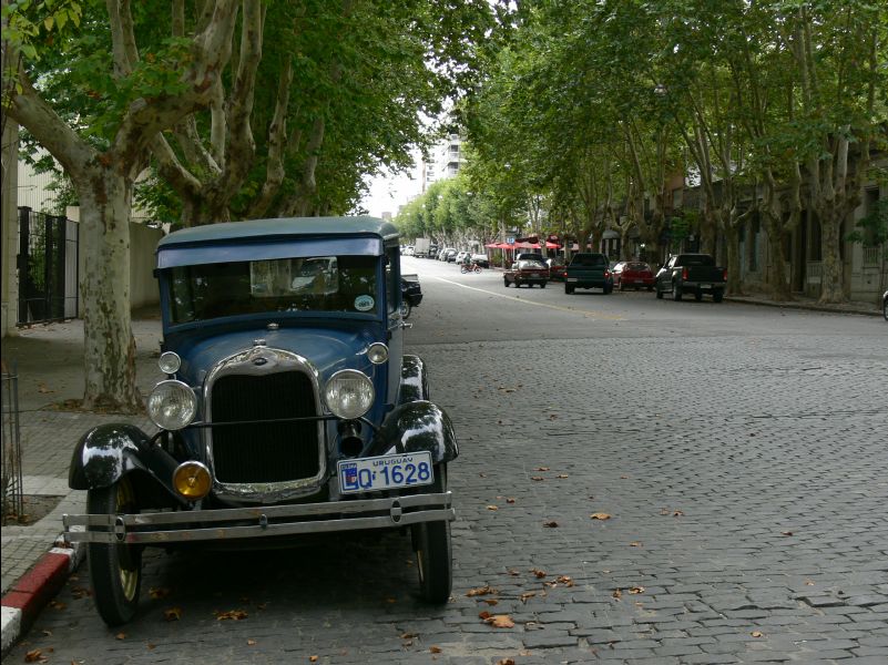 Colonia028
