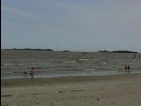 Colonia012