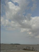 Colonia020